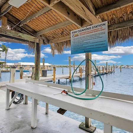 St Kitts - Downtown Waterfront Penthouse Pool Dock Parking Villa Key West Bagian luar foto